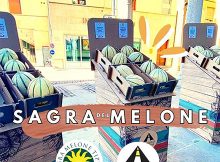 Sagra melone 2026 Viadana (MN)