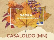 Sagra di San Luigi Gonzaga 2023 Casaloldo (MN)