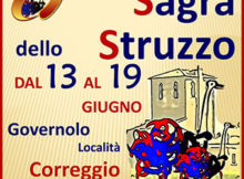 Sagra dello Struzzo 2019 Correggio Micheli Governolo (MN)