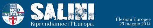 Salini Nuovo Centro Destra NCD