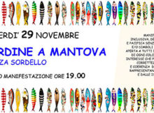 Sardine a Mantova Raduno Piazza Sordello 29/11/2019