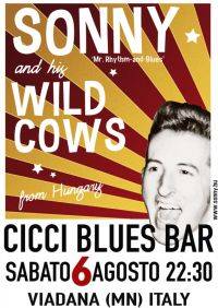 Sonny and his Wild Cows, Ciccibluesbar Viadana (MN)