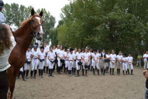 Comitato Sport Equestri CSI Mantova