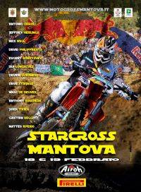 Starcross Mantova 2012, locandina