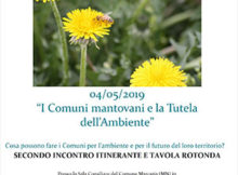 Tavola Rotonda Ambiente Tutela Promozione Territorio Marcaria 2019