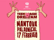 party Teenage Dream Mantova 2024