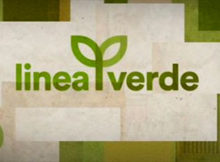 trasmissione tv Linea Verde Rai Uno