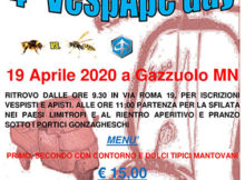 Vespa Ape Day Gazzuolo (MN) 2020