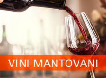 Vini Mantovani