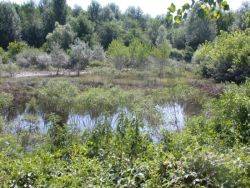 Parco San Colombano, Suzzara (Mantova)