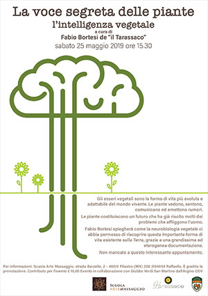 La voce segreta delle piante l’intelligenza vegetale