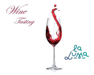 Wine tasting La Luma Borgo Virgilio MN